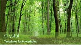  Presentation with path - Audience pleasing PPT layouts consisting of forest-trees-path backdrop and a tawny brown colored foreground