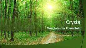 Presentation with pathway - Theme having forest trees background and a tawny brown colored foreground