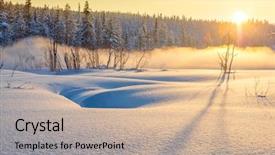  Presentation with winter forest - Cool new PPT layouts with forest with beautiful misty fog backdrop and a mint green colored foreground