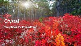  Presentation with leaves of the wetland forest - Audience pleasing PPT theme consisting of forest with cotinus coggygria autumn backdrop and a red colored foreground