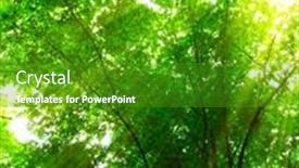  Presentation with sunlight - 