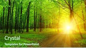  Presentation with sunlight - Amazing presentation design having sunlight the sun rays backdrop and a tawny brown colored foreground