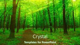  Presentation with sunlight - Cool new PPT theme with forest-with-sunlight-the-sun backdrop and a forest green colored foreground