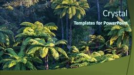  Presentation with green tree - Colorful presentation theme enhanced with forest-with-tree-ferns-beautiful backdrop and a navy blue colored foreground