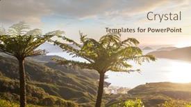  Presentation with ferns - Colorful slide deck enhanced with forest-with-tree-ferns-beautiful backdrop and a lemonade colored foreground