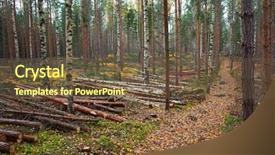  Presentation with trees - PPT layouts with forest with trees log trunks background and a tawny brown colored foreground