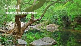 Presentation with water turbine energy - PPT theme enhanced with forest with water and tree background and a seafoam green colored foreground