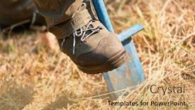  Presentation with forest - PPT layouts enhanced with forest-worker-digs-a-planting background and a coral colored foreground