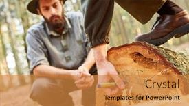  Presentation with wood harvest - Colorful PPT theme enhanced with forest-worker-or-forest-farmer backdrop and a gold colored foreground