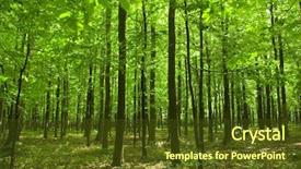  Presentation with divine - Amazing presentation having forest backdrop and a  colored foreground