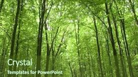  Presentation with woodland - Audience pleasing PPT theme consisting of forest backdrop and a  colored foreground
