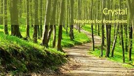  Presentation with forest - Slides having forest background and a tawny brown colored foreground