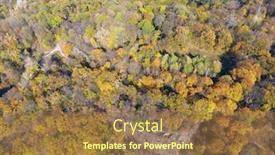  Presentation with 19th century - Presentation theme having forested-area-of-fort background and a tawny brown colored foreground