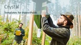  Presentation with controls - PPT theme consisting of forester-controls-bark-beetle-trap background and a lemonade colored foreground