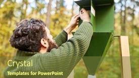  Presentation with pest control - Amazing PPT layouts having forester-on-a-bark-beetle backdrop and a tawny brown colored foreground