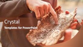  Presentation with pest control - Cool new slides with forester-points-to-tree-bark backdrop and a tawny brown colored foreground