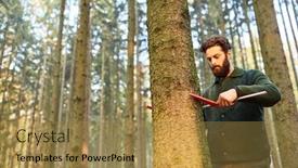 Presentation with tree - Slides having foresters-in-the-determination background and a gold colored foreground