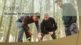  Presentation with tree - Beautiful slides featuring foresters-in-training-analyze-tree backdrop and a mint green colored foreground