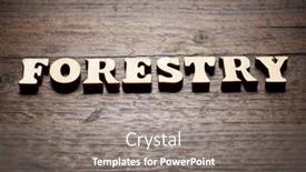  Presentation with forestry - Presentation having forestry-word-on-a-wood background and a gray colored foreground