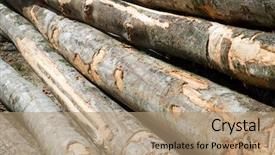  Presentation with forestry - Beautiful PPT theme featuring forestry work in pyrenees france backdrop and a  colored foreground