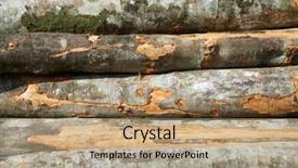  Presentation with forestry - Colorful presentation design enhanced with forestry work in pyrenees france backdrop and a  colored foreground