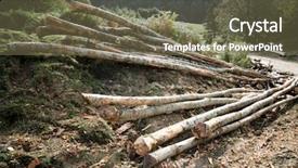  Presentation with forestry - Beautiful presentation design featuring forestry work in pyrenees france backdrop and a  colored foreground