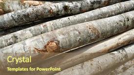  Presentation with forestry - Presentation theme featuring forestry work in pyrenees france background and a  colored foreground