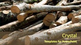  Presentation with forestry - PPT theme consisting of forestry work in pyrenees france background and a tawny brown colored foreground