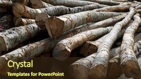  Presentation with forestry - Presentation theme featuring forestry work in pyrenees france background and a tawny brown colored foreground