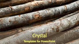  Presentation with forestry - Cool new slide set with forestry work in pyrenees france backdrop and a violet colored foreground