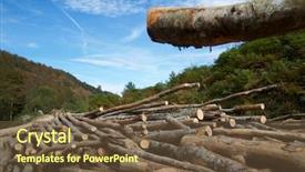  Presentation with forestry - Presentation consisting of forestry work in pyrenees france background and a tawny brown colored foreground