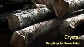  Presentation with forestry - PPT layouts with forestry work in pyrenees france background and a wine colored foreground