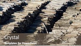  Presentation with forestry - Presentation design featuring forestry-work-in-zaragoza-province background and a violet colored foreground