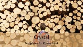  Presentation with forestry - Audience pleasing presentation consisting of forestry worker - back of man in headphones backdrop and a yellow colored foreground