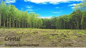  Presentation with forest - PPT theme consisting of forestry worker - glade in felling background and a coral colored foreground