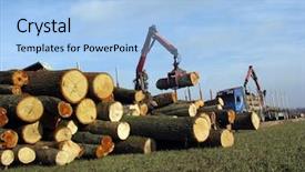  Presentation with forestry - PPT layouts consisting of forestry workers in the loading background and a light blue colored foreground