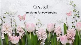  Presentation with flower vintage - Theme with foret - spring flower and butterfly background and a white colored foreground