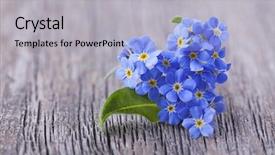  Presentation with heart flowers - PPT theme featuring forget - forgetmenot flowers in heart shape background and a light gray colored foreground