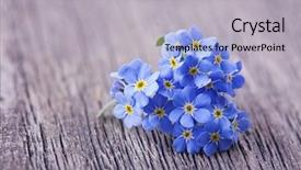  Presentation with heart flowers - Presentation theme having electric guitar and case in wood room background and a violet colored foreground