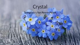  Presentation with heart flowers - Slide deck having drinks companies - business startup and people concept background and a coral colored foreground