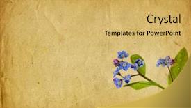  Presentation with forget - Theme with forget me not - old card with a place background and a yellow colored foreground