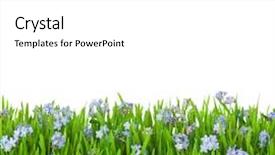  Presentation with blue drops - Colorful PPT layouts enhanced with green grass with water drop backdrop and a white colored foreground