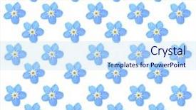  Presentation with forget - Colorful PPT theme enhanced with forget-me-not flowers isolated backdrop and a sky blue colored foreground