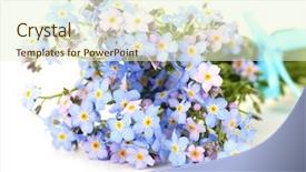  Presentation with forget - Beautiful PPT theme featuring forget-me-nots flowers isolated backdrop and a cream colored foreground