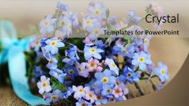  Presentation with forget - Presentation design enhanced with forget-me-nots flowers background and a mint green colored foreground