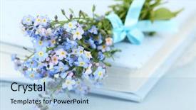  Presentation with forget - Slide set enhanced with forget-me-nots flowers background and a light blue colored foreground
