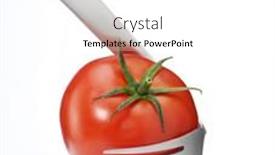  Presentation with tomato - 