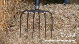  Presentation with stuck - Presentation consisting of fork stuck into a bail background and a coral colored foreground