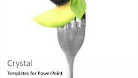  Presentation with white cheese - 