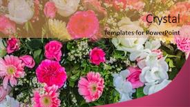  Presentation with ceremony - Slide set with formal dining table seting - beautiful in wedding ceremony background and a gold colored foreground